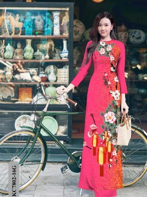 1608695770 329 vai ao dai dep (13)